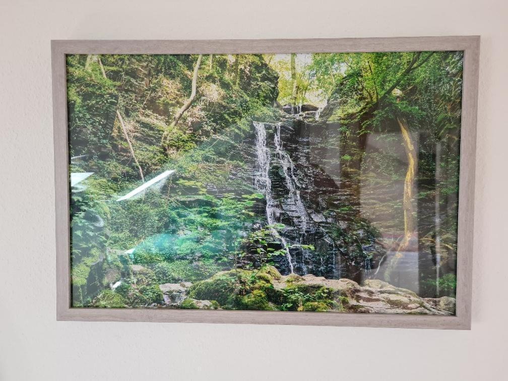 Ferienhaus Finca De Vida Y Luz Auderath Екстериор снимка